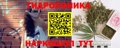 прущие грибы Донецк