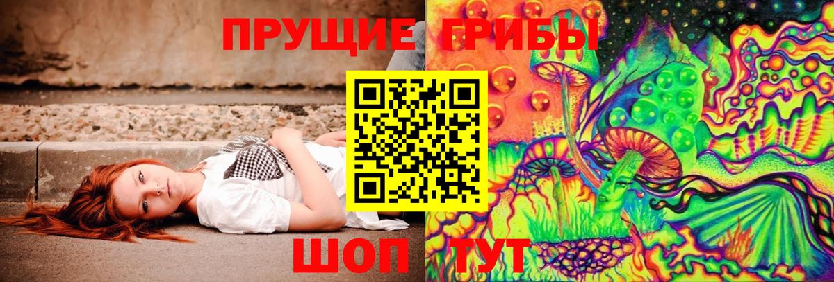 Псилоцибиновые грибы Psilocybe  Вход с VPN  Мыски  Галлюциногенные грибы прущие грибы 